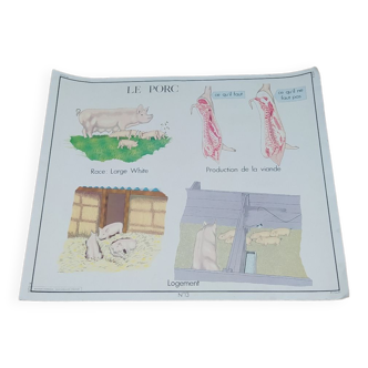 Carte scolaire Editions Rossignol