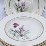 6 plates Moulin des Loups Imperia hollow