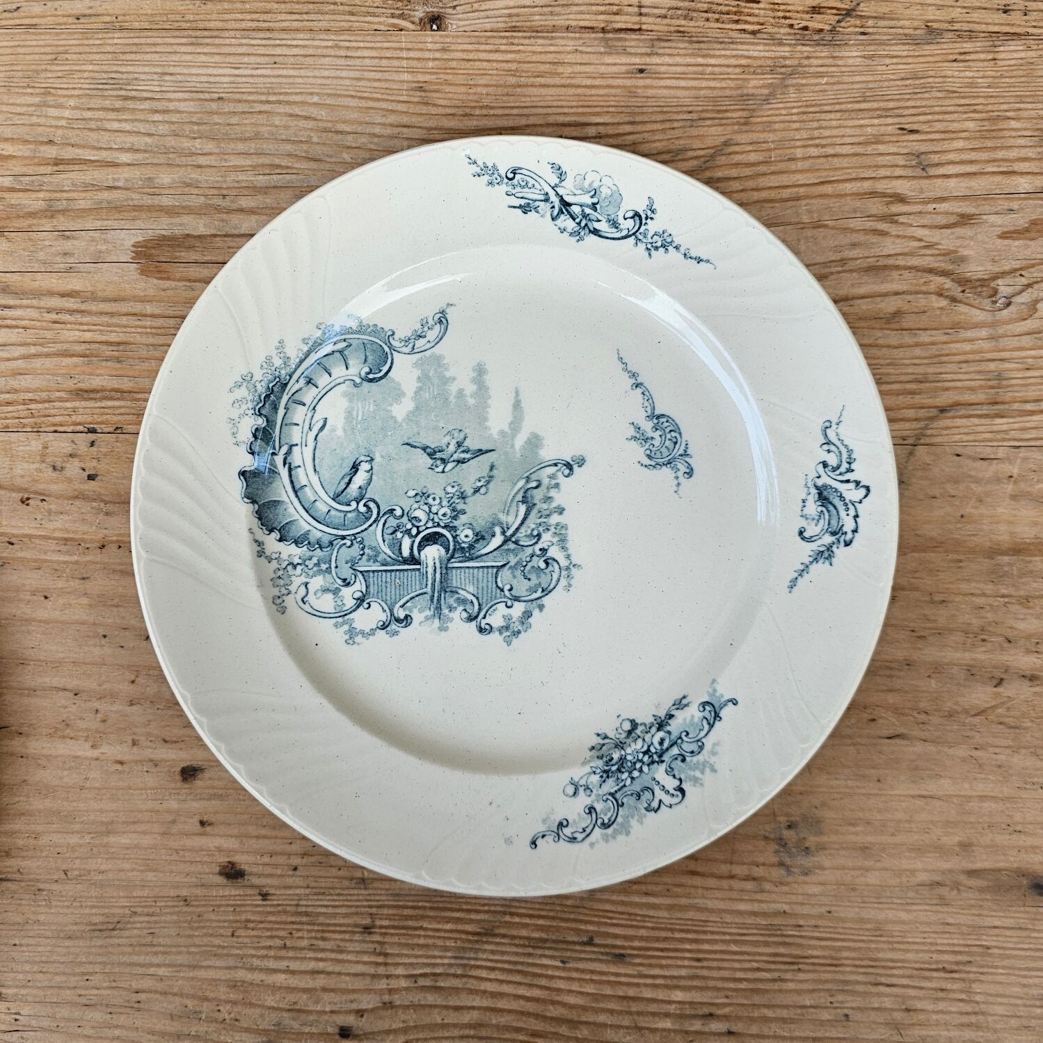 Lunéville “Rocailles” flat plates