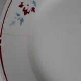 Lot of 5 retro plates