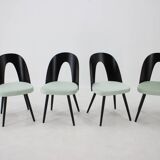 Ensemble de quatre chaises de salle à manger Antonin Suman des années 1960, Tchécoslovaquie