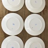 set of 12 plates, 6 flat and 6 hollow N1.