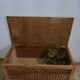 Toy chest