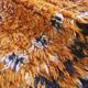 Tapis Orange Collection - 355 x 198 cm
