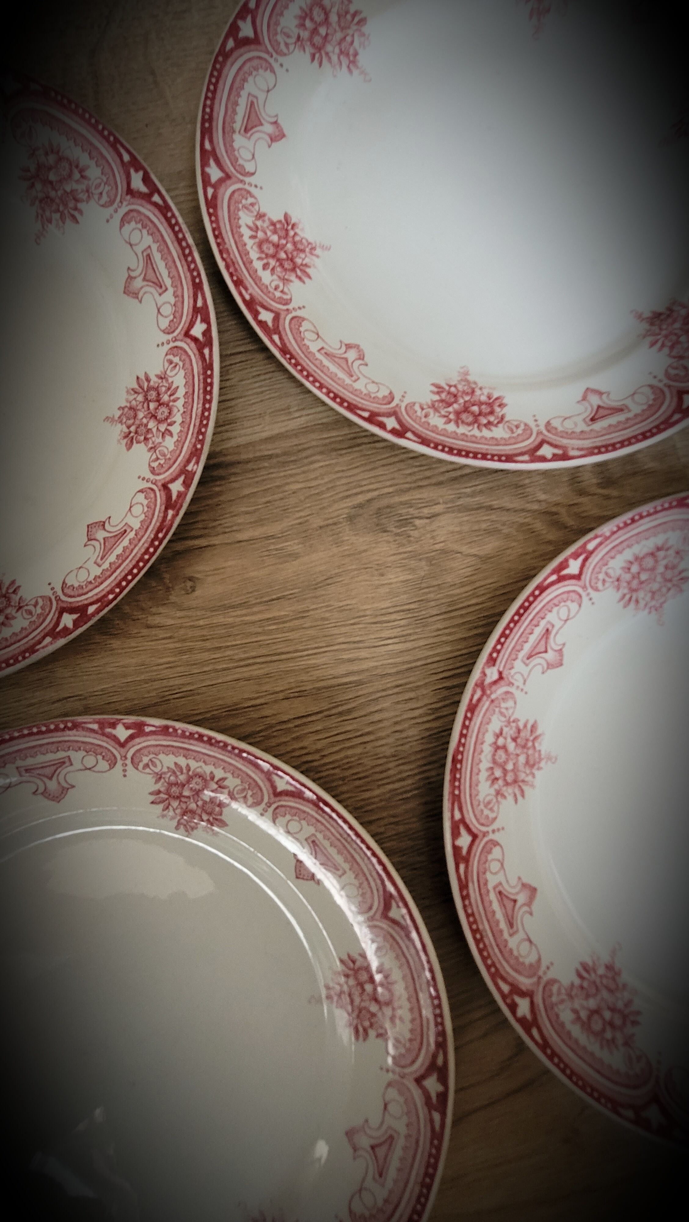 4 flat plates Narcissus