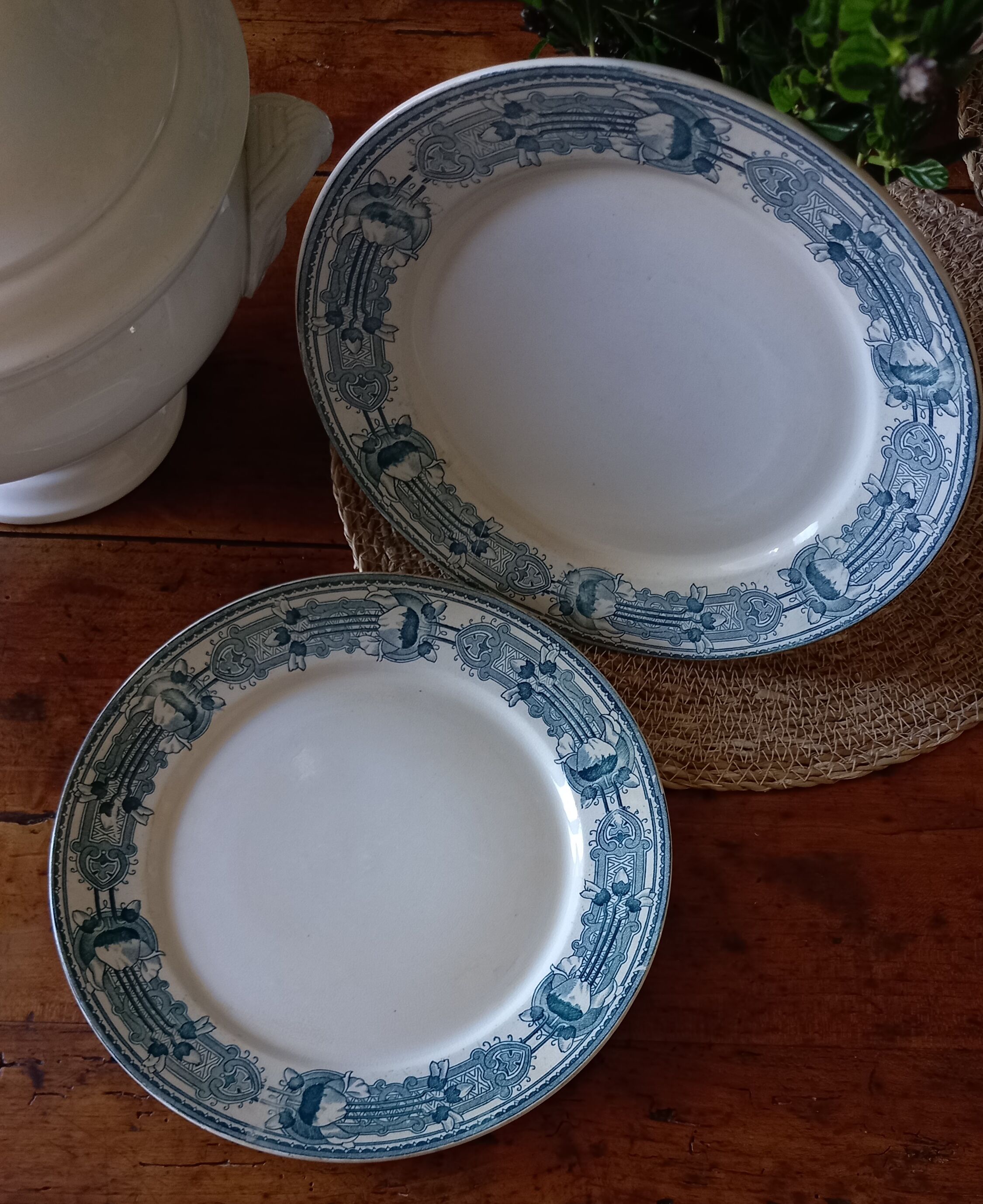 2 flat old plates (ø 25 cm) earthenware terre de fer creil montereau massena