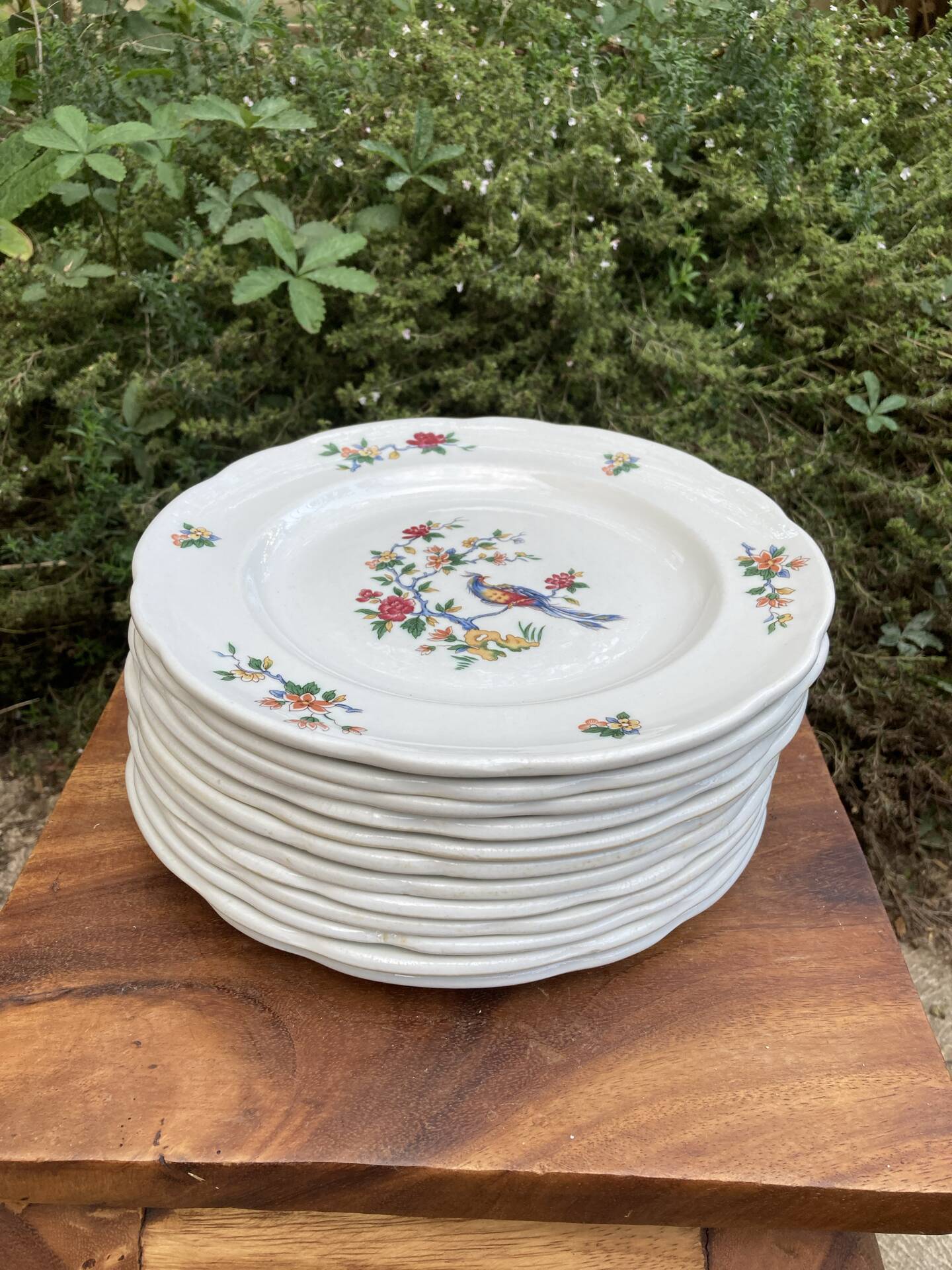 Sarreguemines plates paradise birds / Phoenix