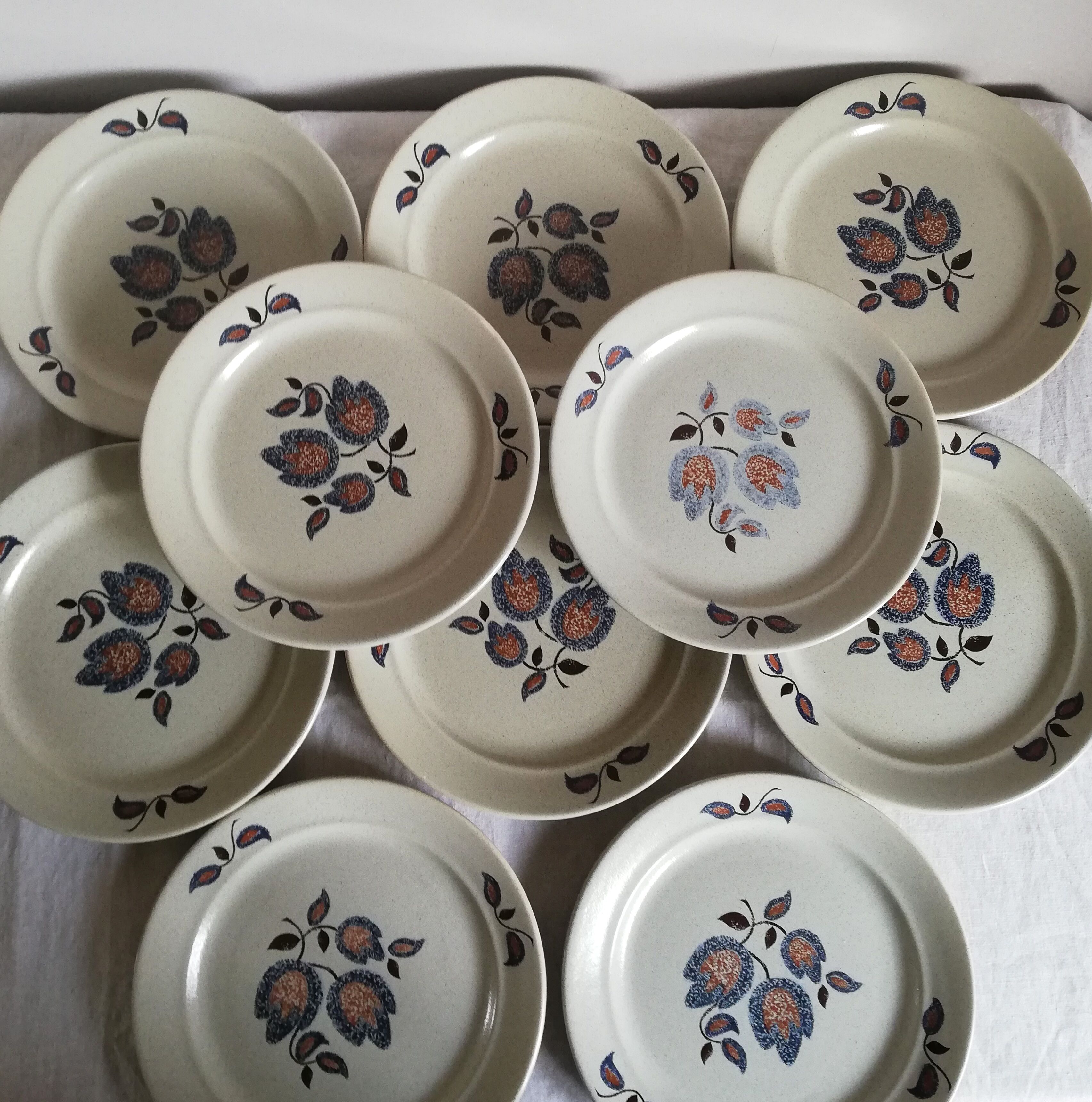 Serving 20 flat plates Sologne de Saint Amand