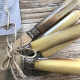 Horned handle knives