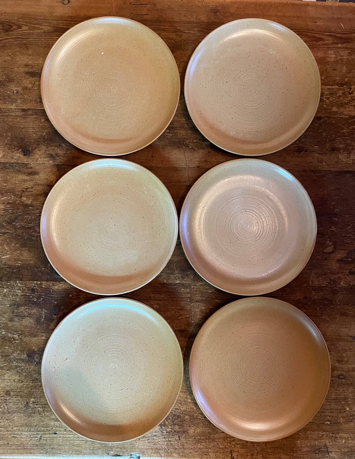 CNP stoneware plates