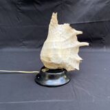 Shell Lamp