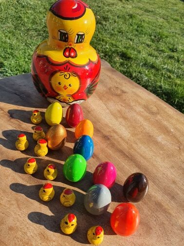 Chicken with eggs and chicks