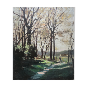 Painting "Landscape of undergrowth", sunny trail in the forest