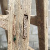 Old wooden painter's ladder