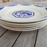 6 old flat plates