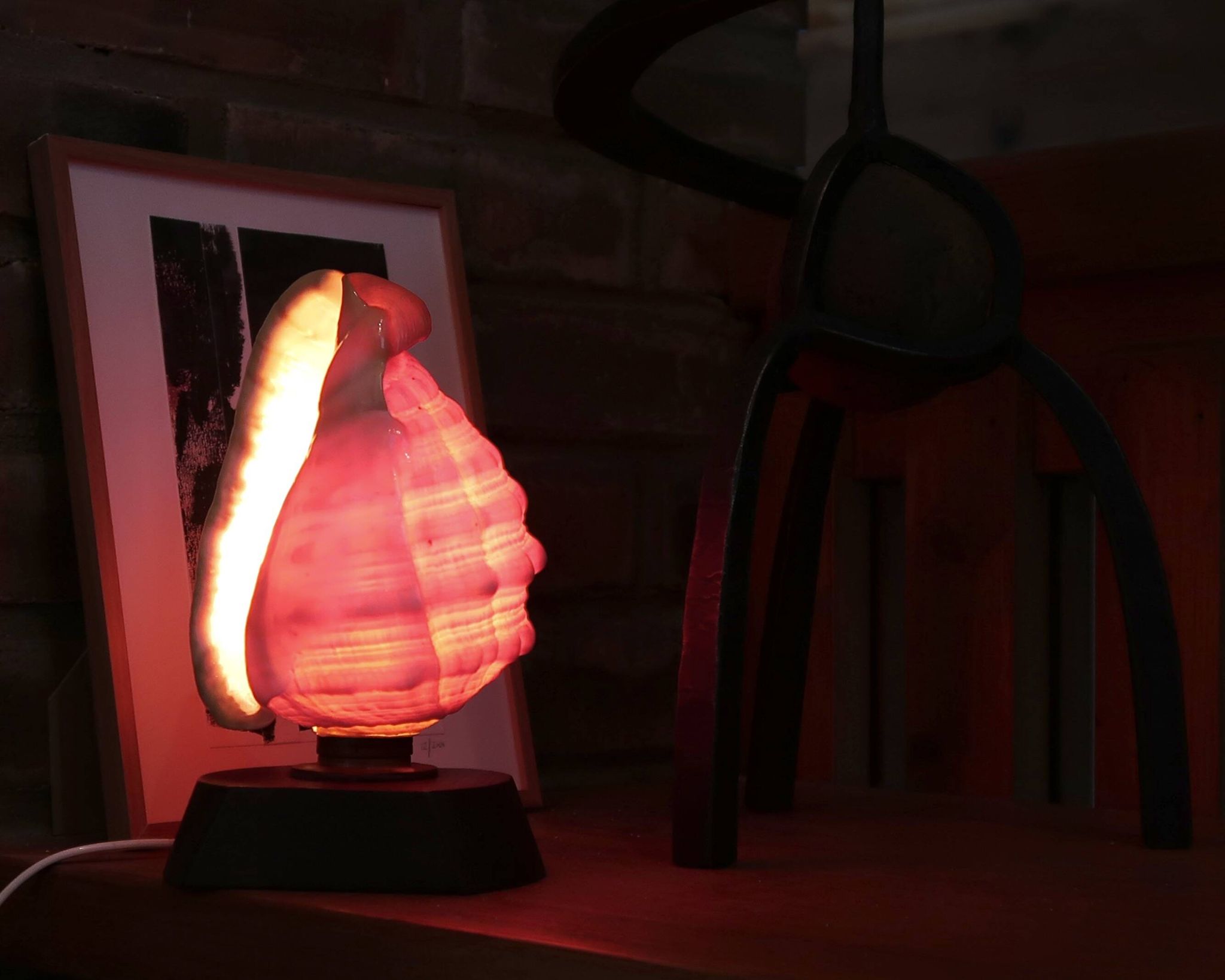 Lampe à poser coquillage naturel et socle en bois, années 60