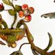 Antique Florentine wall light in painted wrought iron – Floral decoration – 20th century