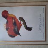 Framed botanical plank