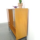 Design Mezulanik showcase with shelves