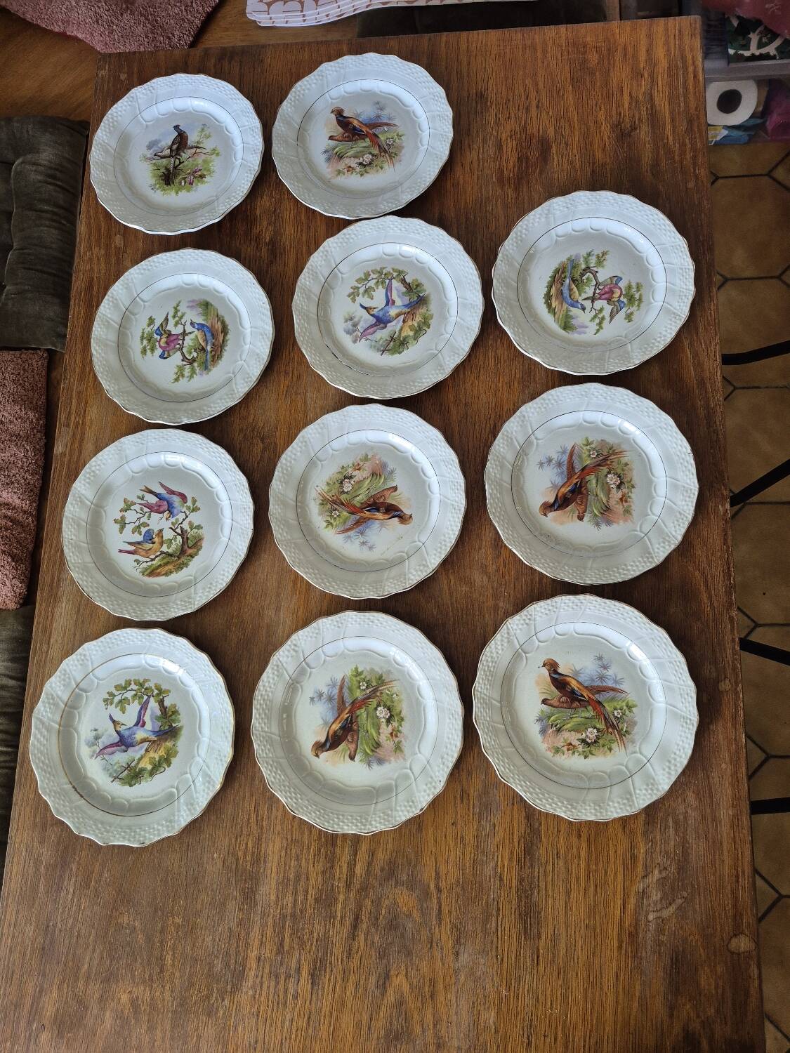 Bird dessert plates