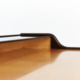 Prof. Dr. Reinhold Stotz Ladydesk, 1955