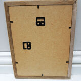 Old framed lithograph: goldfish