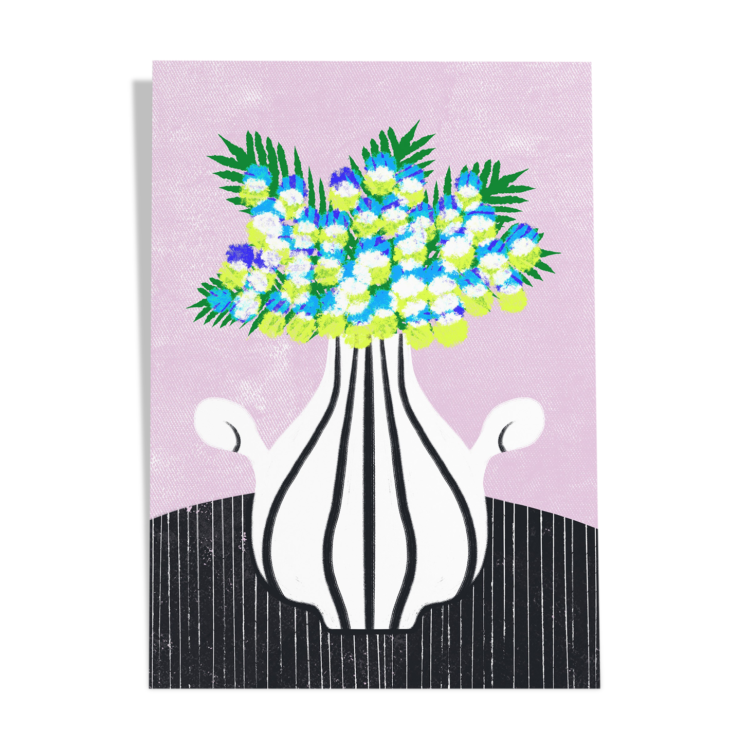 Illustration "mimosa"