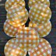 Set of nine flat ceramic plates yellow Scottish decoration in yellow/orange gridded ceramic