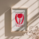 Tulip illustration