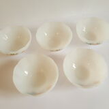 Set of 5 ramekins opaline Arcopal France roses 60s vintage
