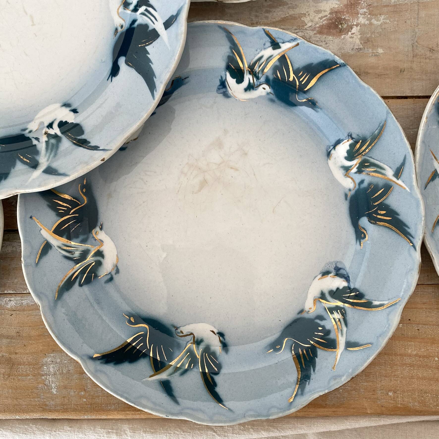 Rare dessert plates Terre de Fer Choisy le Roi, birds.