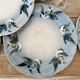 Rare dessert plates Terre de Fer Choisy le Roi, birds.
