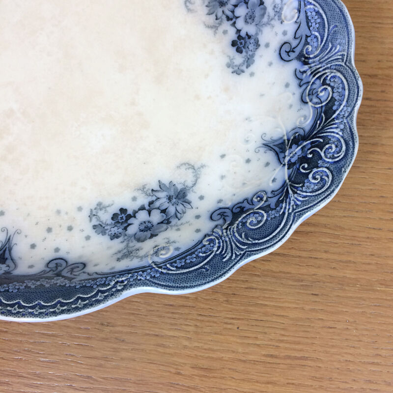 Deish english selwyn