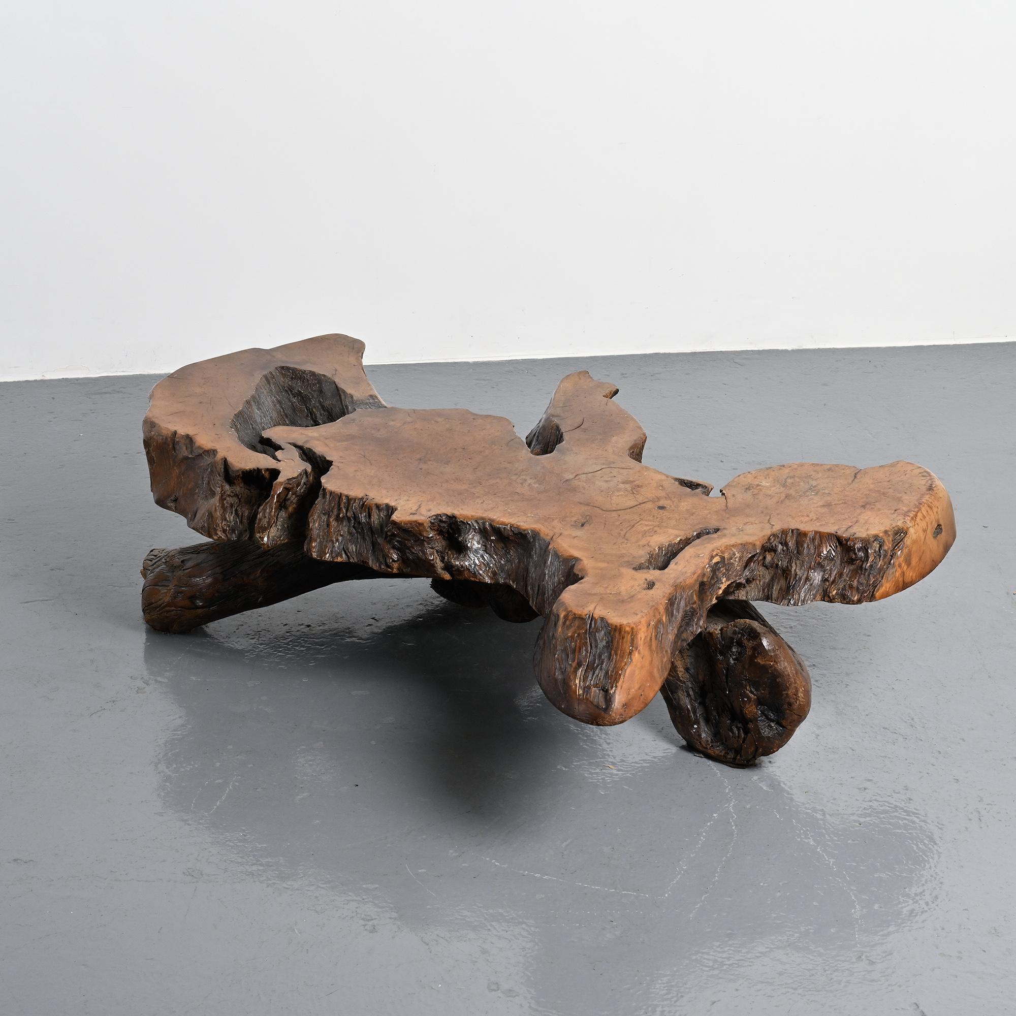 Table basse brutaliste en loupe d'orme, circa 1960