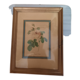 Pink botanical board