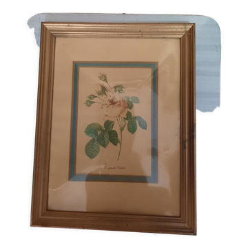 Pink botanical board