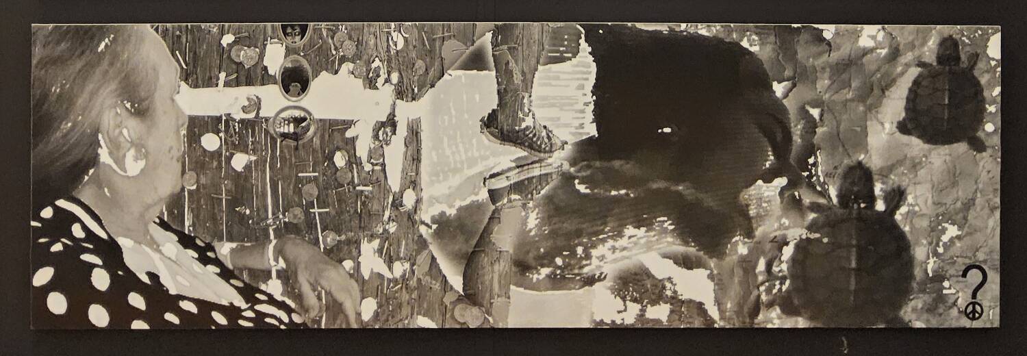 Grandes œuvres d'art en noir et blanc / collage photo (160x50) tortue