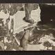 Grandes œuvres d'art en noir et blanc / collage photo (160x50) tortue