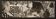 Large black and white artworks / photo collage (160x50)
turtle