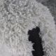 Armchair grey Doodle Retro Fully Restored - new upholstery