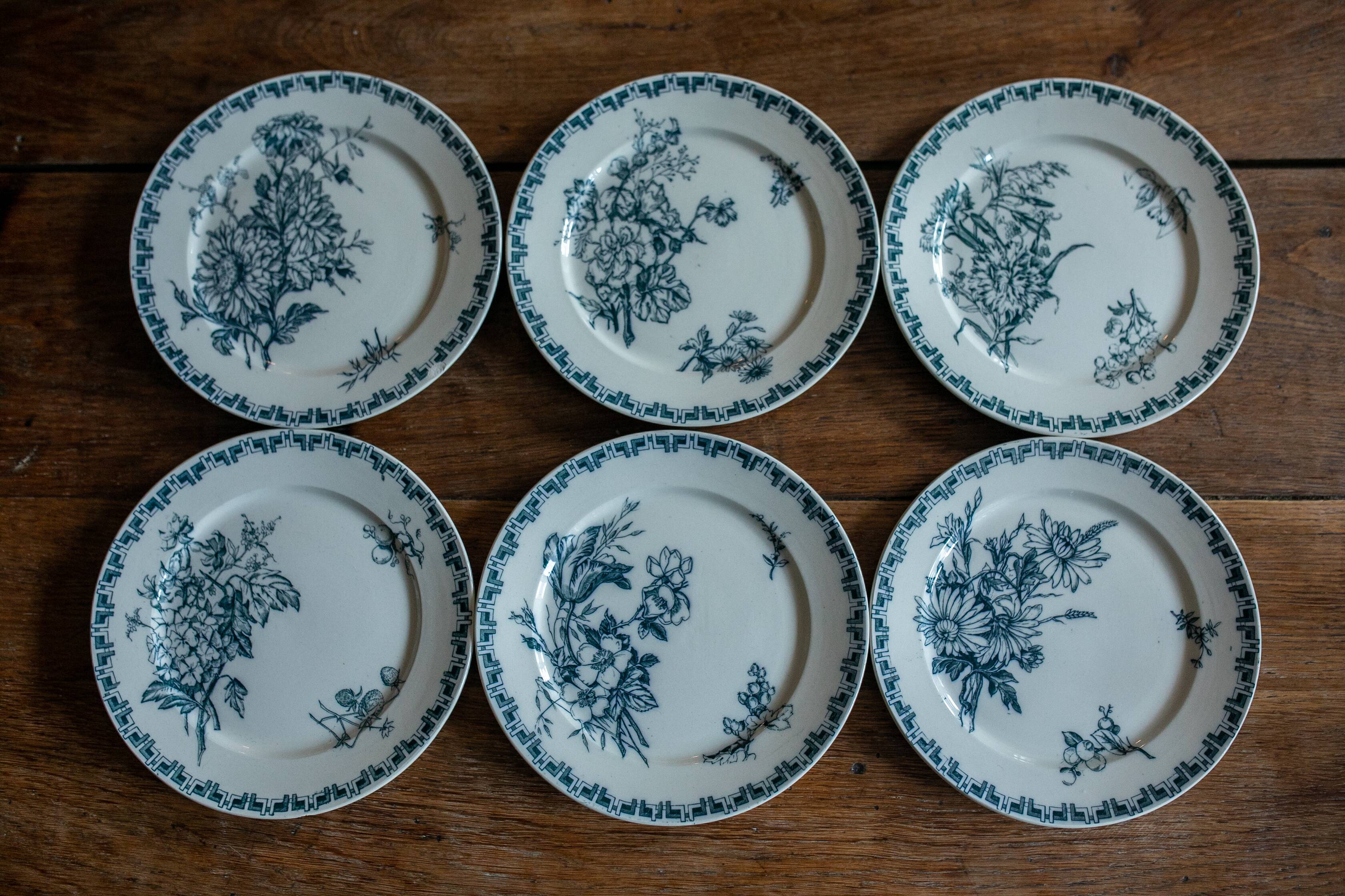 Les 6 assiettes sarreguemines