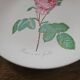 8 oval plates Salins – 1970s – Botanical roses