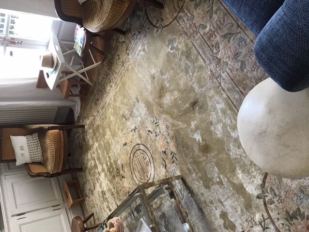 Chinese silk carpet 244x305 bought in 1985