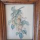 Ensemble de 2 cadres anciens avec reproduction fruits