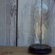 Round glass globe 35 cm high