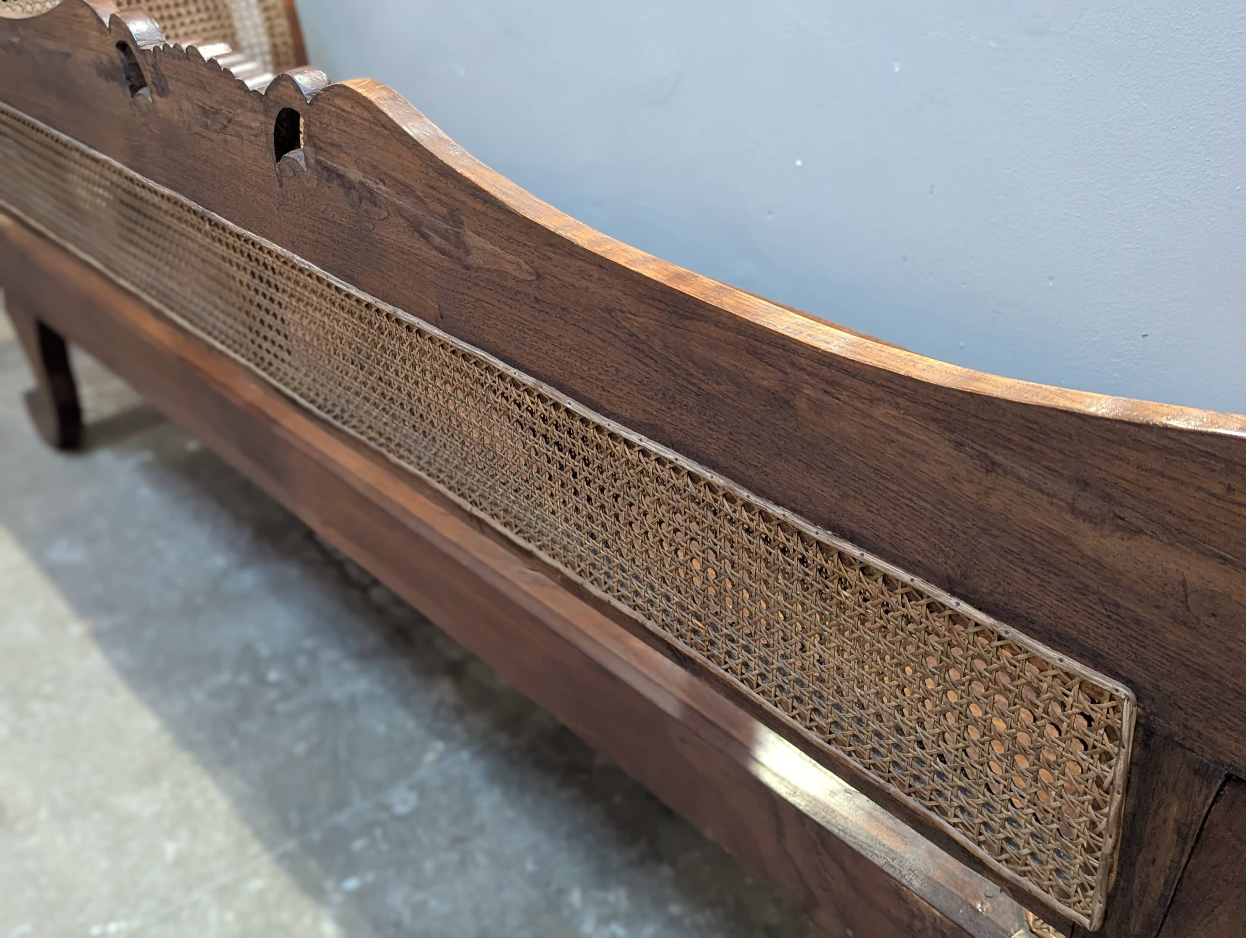 Very large colonial bans