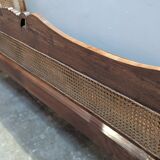 Very large colonial bans