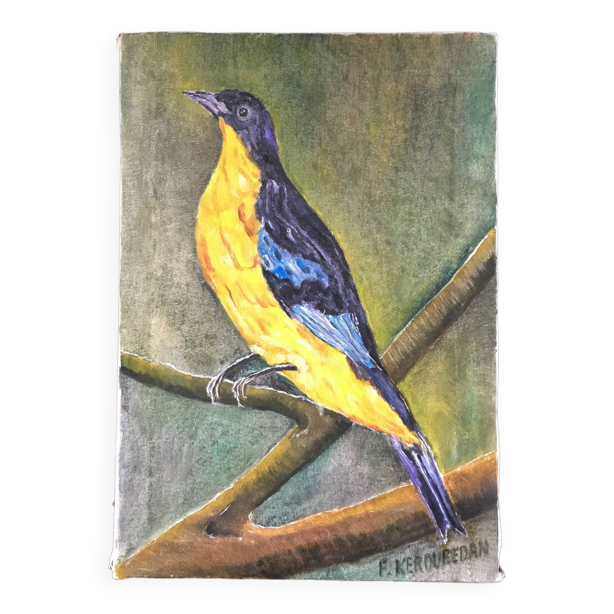 Painting the sparrow of Peru