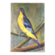 Painting the sparrow of Peru