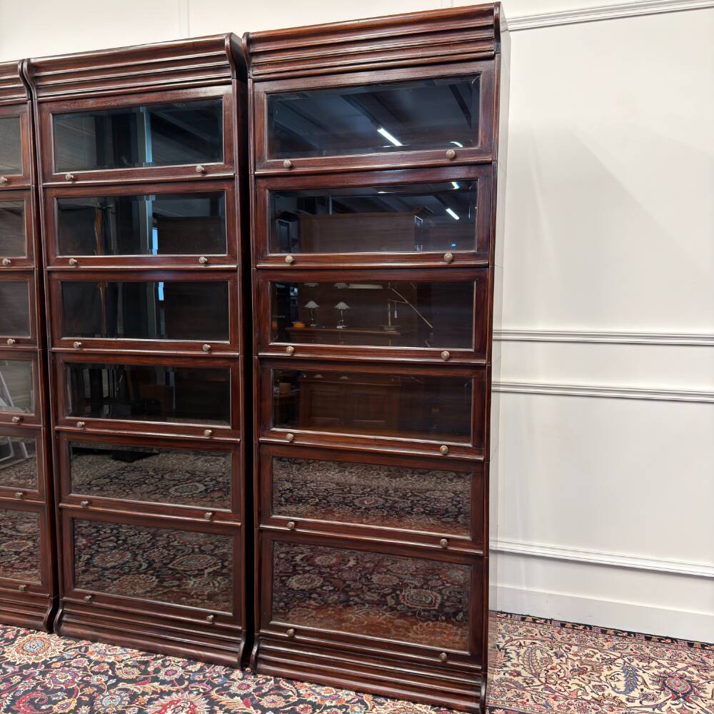 Bibliothèque Globe Wernicke classique en anglais